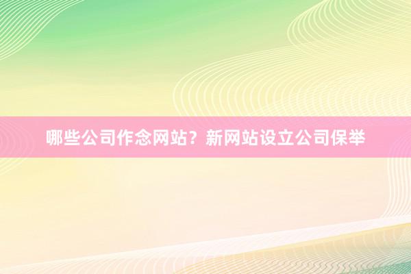 哪些公司作念网站？新网站设立公司保举