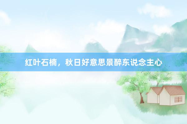 红叶石楠，秋日好意思景醉东说念主心