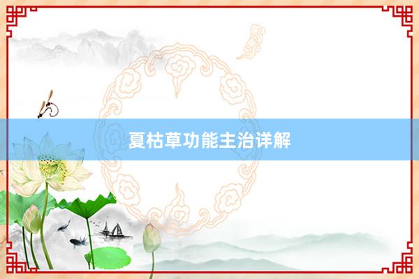 夏枯草功能主治详解